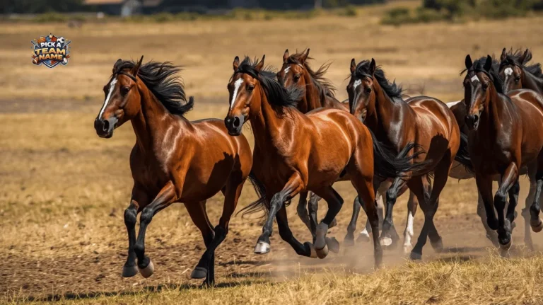 horse team names